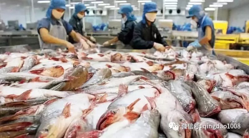 海产品批发趋势风云变化揭秘