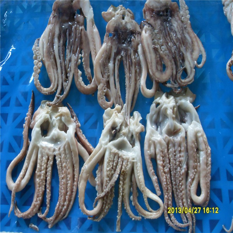 海洋美食新动态：海产品批发市场的变化与趋势