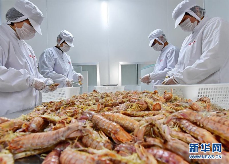 南通远洋渔业:海洋与希望的航行者